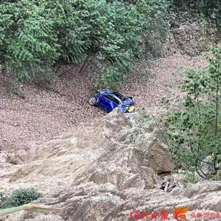 广西山野果大全的长尾关键词有什么