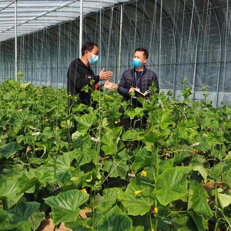 河南这个疫情怎么样