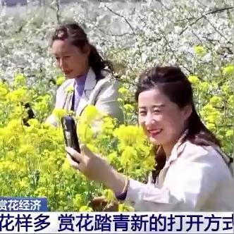 去山东济南的旅游攻略相关长尾关键词有哪些