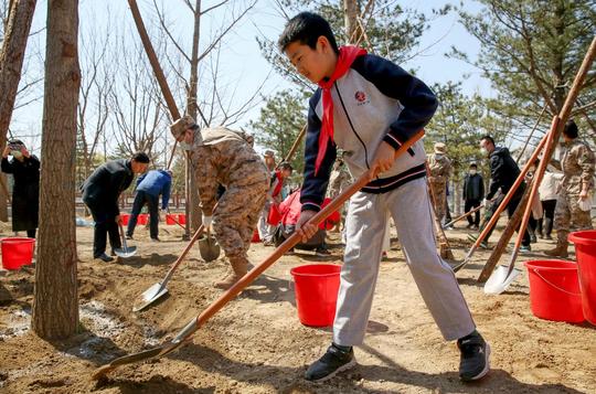 今天是首都义务植树日，120万市民今春植绿护绿