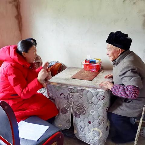 怎么查优待证审核情况？