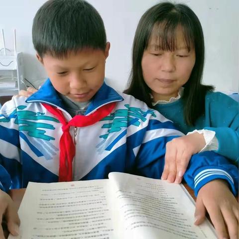 长沙市新星小学怎么样