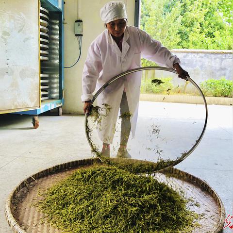泰和明天具体天气预报的长尾关键词有哪些