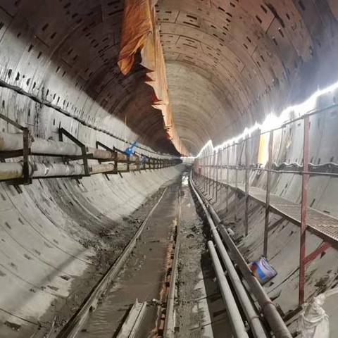 哈尔滨清爽580相关长尾关键词有哪些