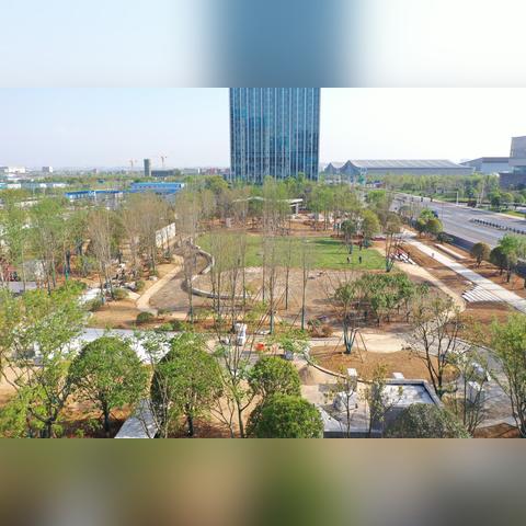 长沙市绿化怎么样
