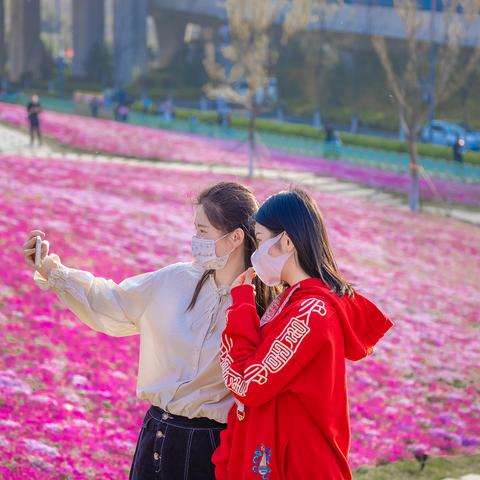 济南的冬天山坡上卧着相关长尾关键词有哪些