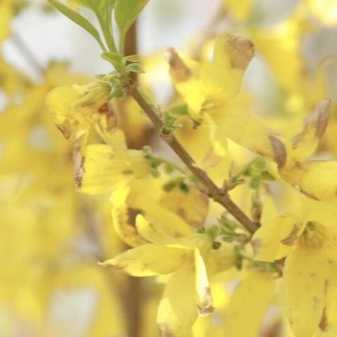 济南东门在哪相关长尾关键词有哪些