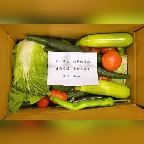 沈阳市哪个税务局好