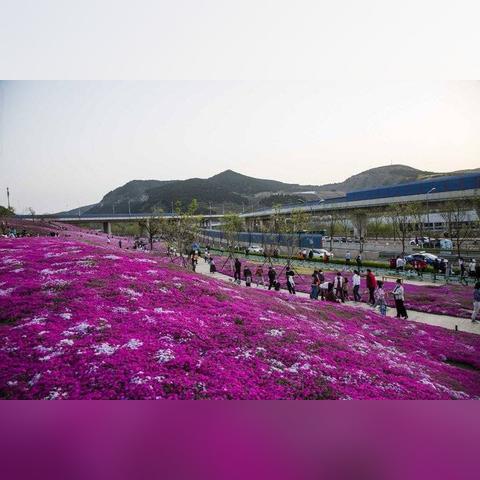 济南市为什么要南控