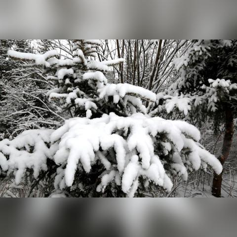 下暴雪足球比赛暂停的长尾关键词有什么