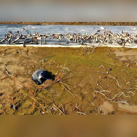 石家庄市楼底村在哪里