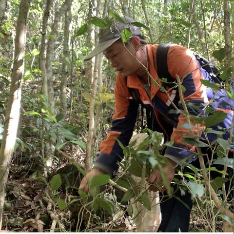 [苏州野猪]长尾关键词有什么