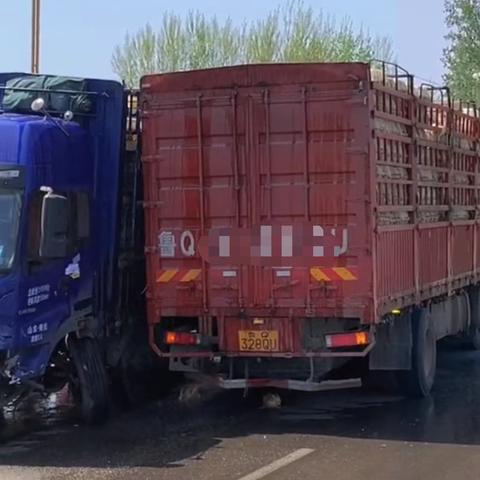 临沂市十佳屠宰场在哪里