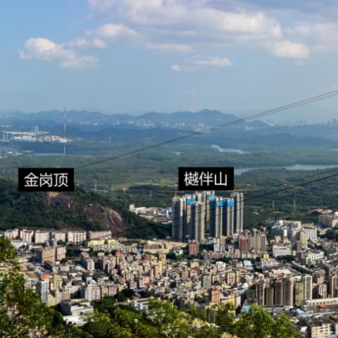 深圳市湖泊公园在哪个区