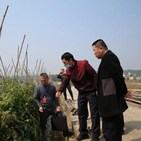 南宁良庆天气预报的长尾关键词有什么