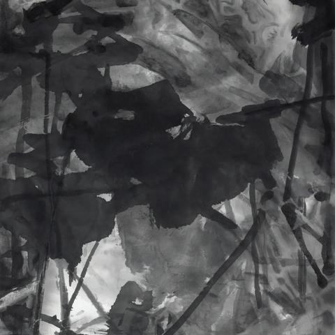 桂林市哪里有花鸟市场