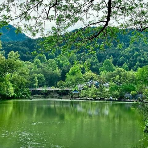 桂林市中学多久放假