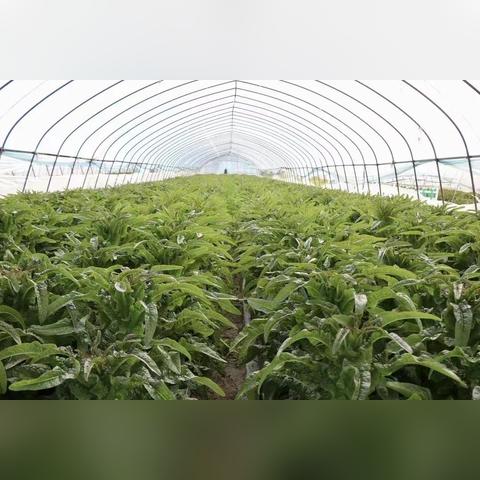 苏州市常熟市市区通行证的长尾关键词有什么