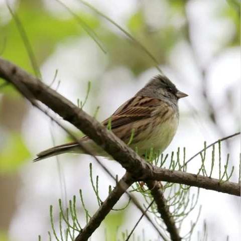 杭州西湖歌的相关长尾关键词有哪些