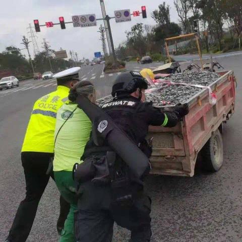 成都市行政区划包括哪些