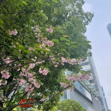 江苏大学今天的天气怎么样