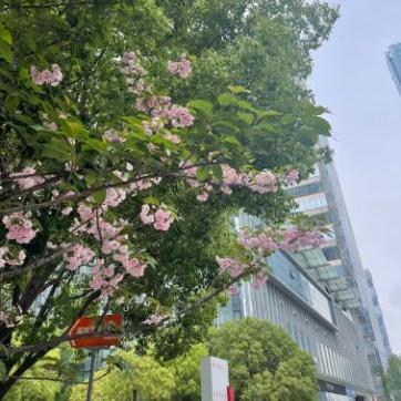 南通启东天气相关长尾关键词有哪些