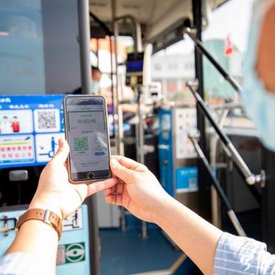 宁波车牌 价格的相关长尾关键词有哪些