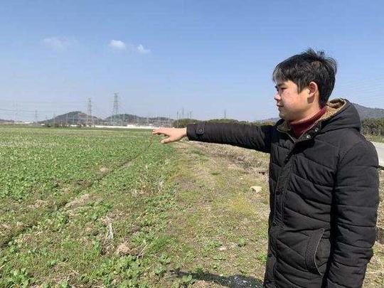 慈溪400余名大学生新农人带动六千农户共同致富
