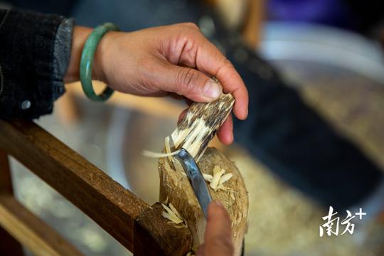 一棵沉香树收获“百变业态”|电白香飘天下④