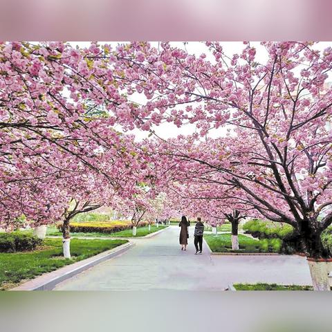 保定市包括高碑店吗的长尾关键词有哪些