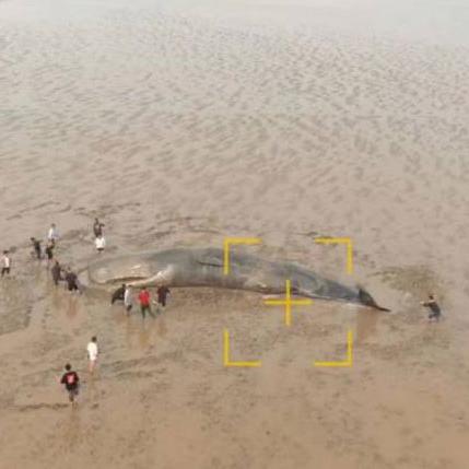 宁波市象山有什么大学