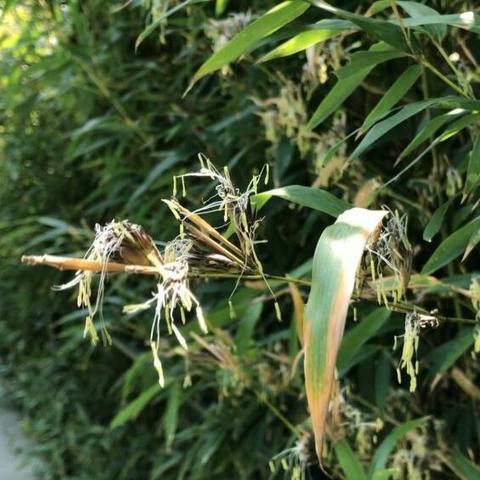 济南市的气候相关长尾关键词有哪些