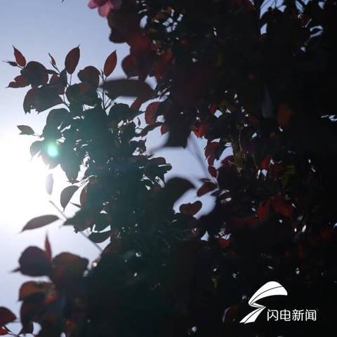 山东省潍坊市青州市温度的长尾关键词有哪些