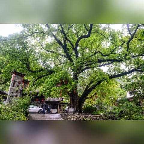 星级少年和三好学生区别？