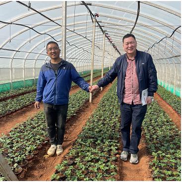 河南金泰生物 怎么样