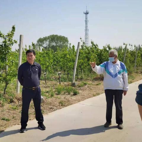 今日生肖运势4月24日(今日生肖运势4月24日是什么)