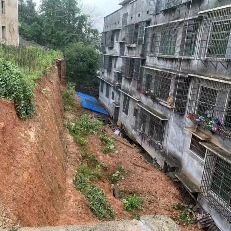 长沙市区可以养什么大型犬