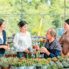 广西和福建哪个水电费贵