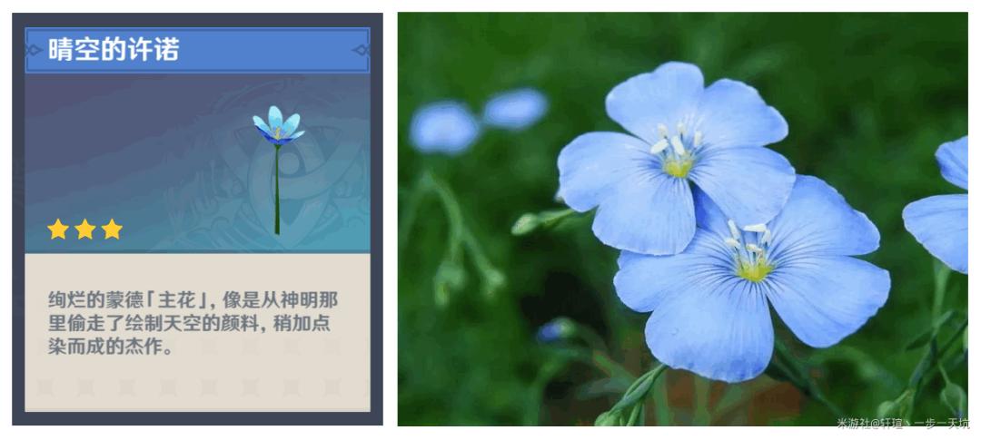 原神花影遥停怎么做（原神绮良良技能一览）