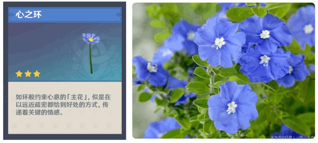 原神怎么获得鲜花种子（原神生不出的花有没有隐藏成就）