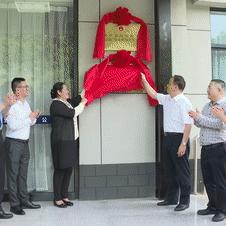 南宁市知识产权局的相关长尾关键词有哪些