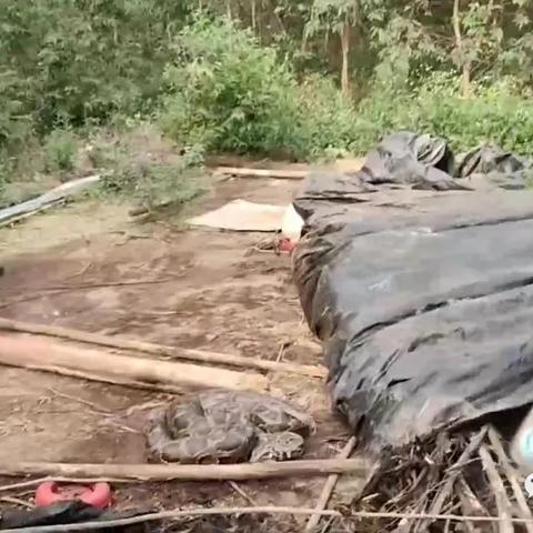 穿戴甲招聘南宁的相关长尾关键词有哪些