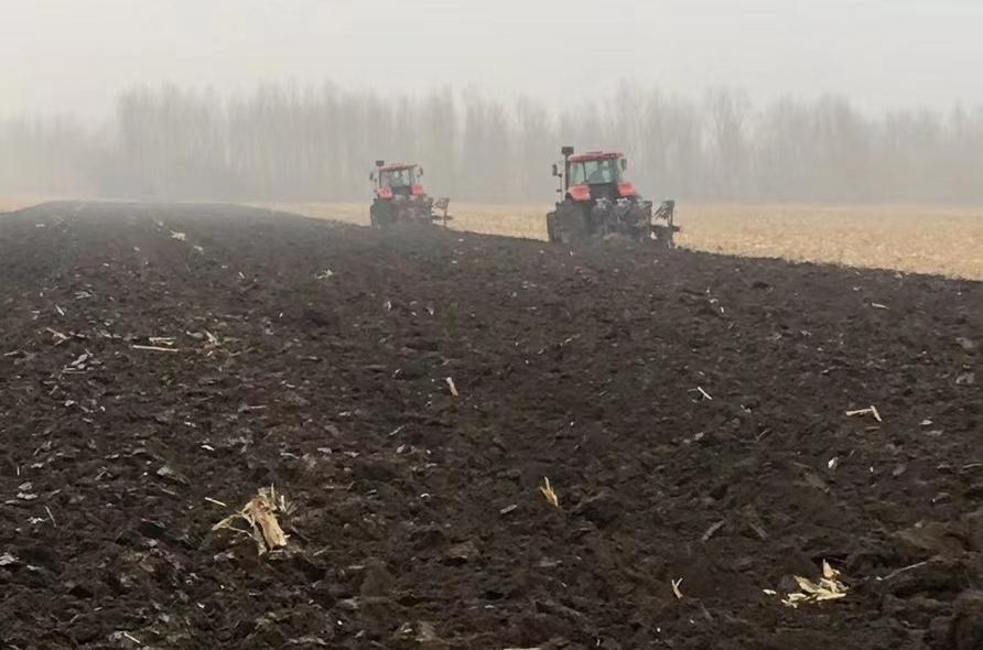 吉林疫情最新数据消息
 ,吉林疫情最新数据消息今天