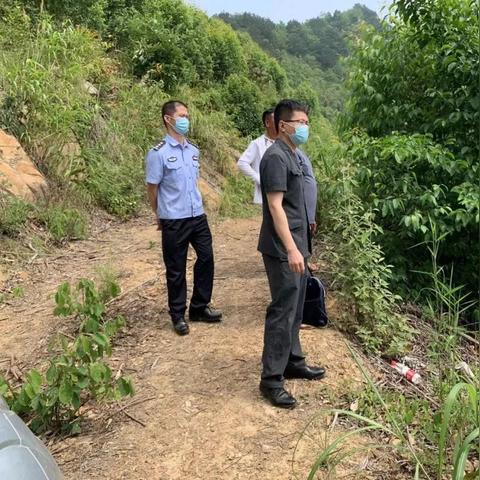 南宁田东疫情的相关长尾关键词有哪些