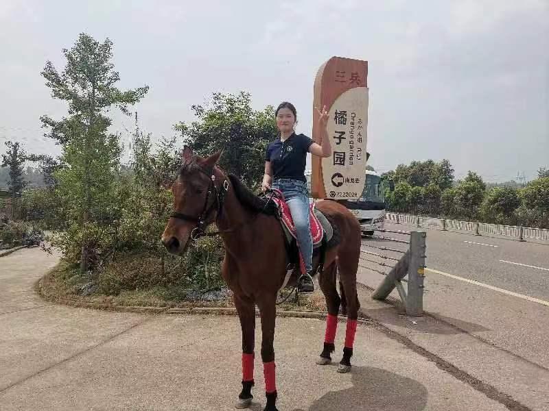内江现在有什么美食（川南五市自贡宜宾泸州乐山和内江）