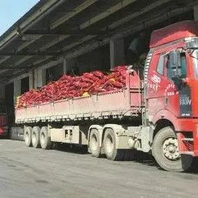 中盐哈尔滨相关长尾关键词有哪些