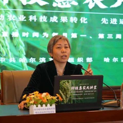 哈尔滨呼兰适合种什么玉米？