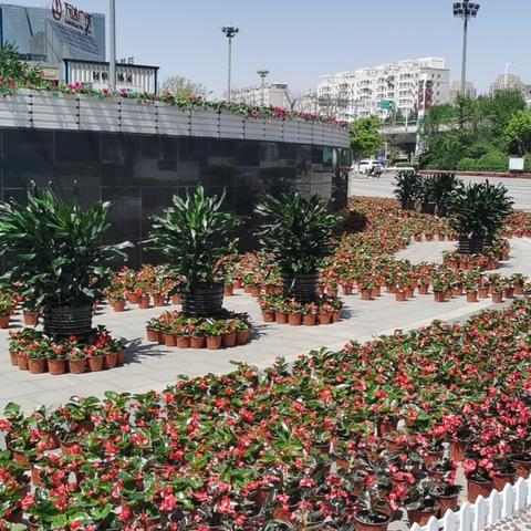 沈阳立体绿化相关长尾关键词有哪些