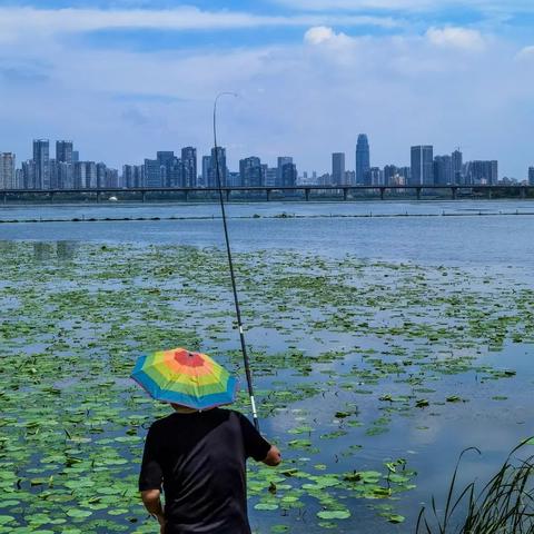 武汉沙湖钓鱼规定？