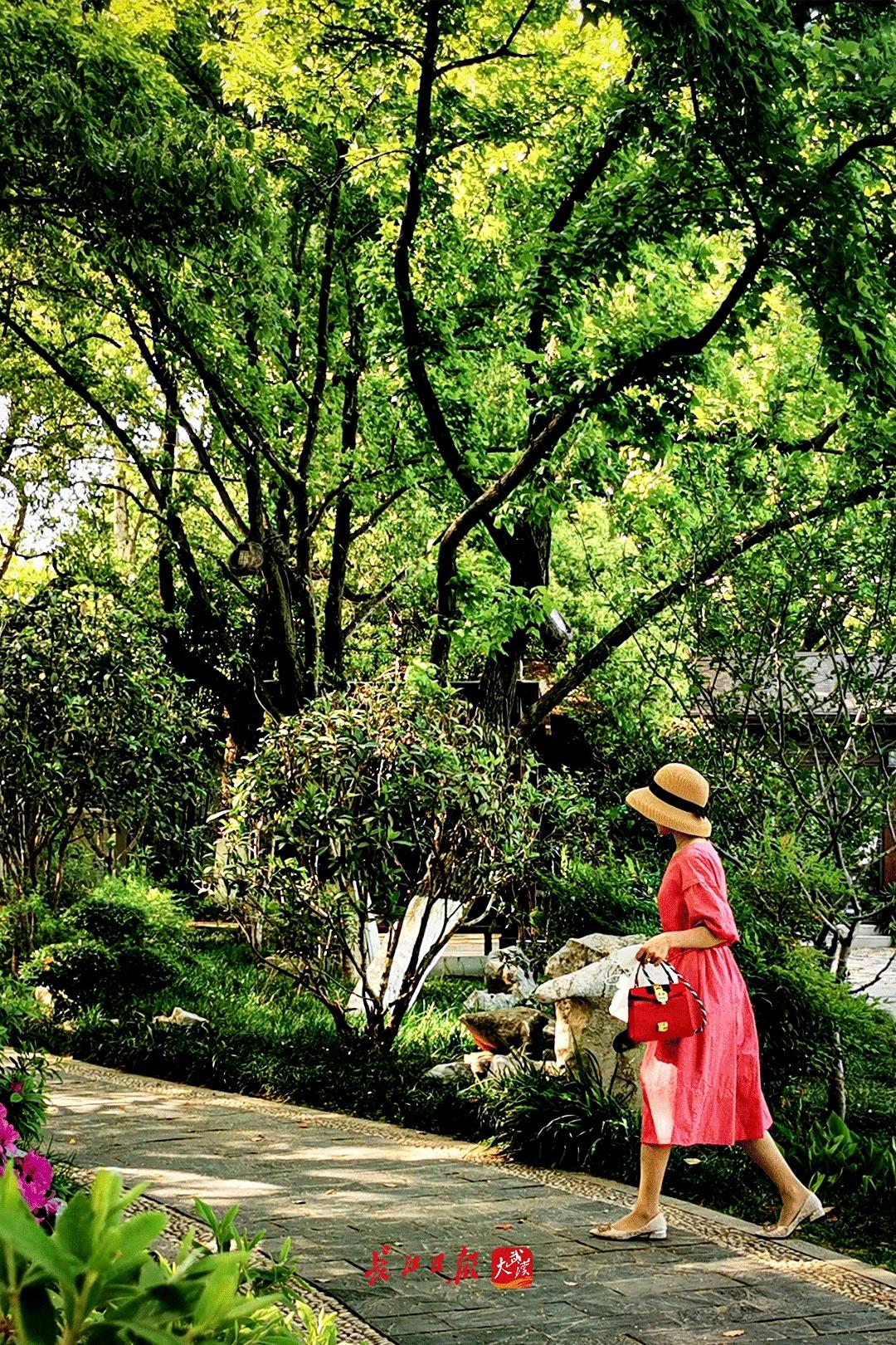 武汉立夏吃什么美食（武汉洋槐花什么时候开）